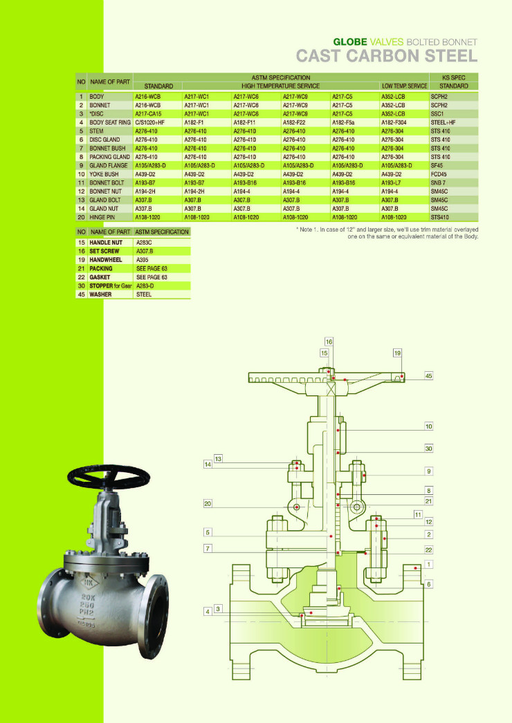 주강글로브 내용.jpg