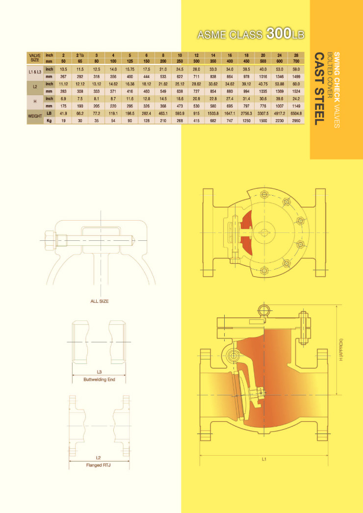 주강체크밸브 300#.jpg